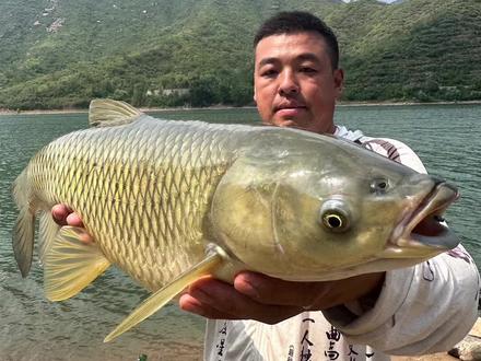 2023.7.26号。石家庄 井陉县 峪沟水库,收费70一天鱼货自由。#非禁钓区域 #谷麦逗钓 #钓鱼人就是这么疯狂 #真实户外 #渔具用品