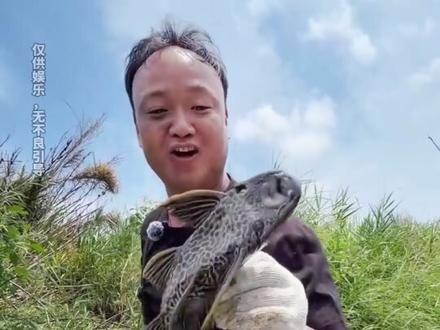 大表哥清道夫治理行动的3个脑洞方案 #大表哥清道夫治理#清道夫#外来入侵物种#越南丽丽