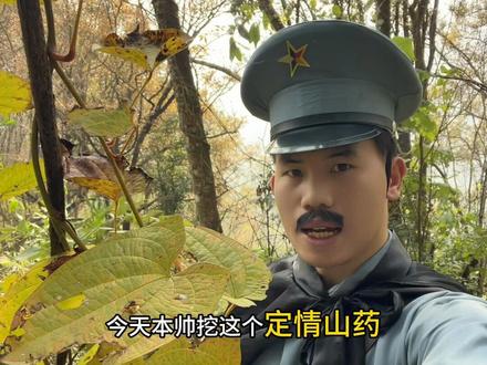 谢少爷打赏第16期,未奔赴山海,只在原地种满玫瑰,待风起时,蝴蝶为你而来