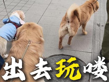 今天是个愉快的一天 #骏良 #莲梅 #蒜皮 #馒头 #明亮之家