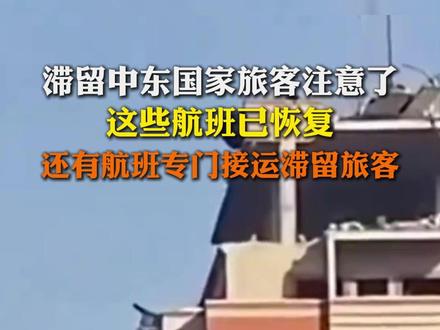 国航、东航、南航最新通知,恢复部分我国至中东地区往返航班#航班 #中东 #迪拜