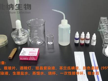 北纳生物带您get革兰氏染色#革兰氏染色