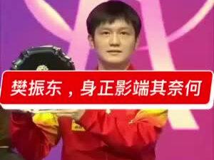 樊振东被遮挡#