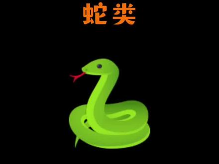 鉴定近期网友遇到的8种蛇类 视频来自网络掠夺
#蛇 #蛇类科普 #蛇出没 #保护野生动物 #自然