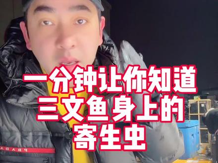一分钟让你知道三文鱼到底有没有寄生虫?异尖线虫 寄生虫 挪威324 挪威111 挪威145 挪威742 挪威2284 丹麦法罗皇冠 苏格兰皇冠 冰岛960 新西兰帝王鮭#三文鱼#进口三文鱼#江阳市场#三文鱼批发#日本料理