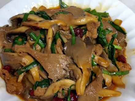 辣炒平菇锁死这个做法!平菇不焯水,香辣滑嫩,无敌下饭!#辣炒平菇 #平菇的家常做法 #下饭神器 #一个人的晚餐就这么简单 #家常饭菜