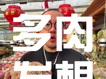多肉为什么发根慢,不发根呢? 我的多肉为什么发根缓慢,甚至完全不发根呢?影响发根快慢的因素到底是什么?这个视频告诉你!#多肉 #多肉植物 #多肉养护 #大家dou来养多肉 #多肉发根