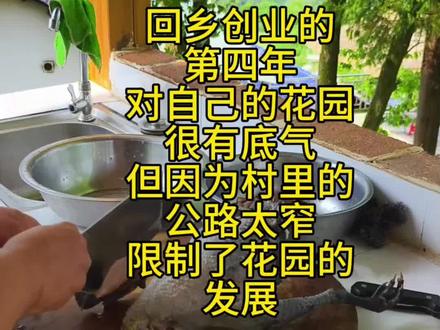 每次听到我们的客人说我们村的公路都会很无奈,每次客人出发的时候也会跟他们反复强调有一段3到5分钟的村道是单行道,不好会车,要多按喇叭,花园的打造,推广我们自己都可以努力,唯独这个路我们无能为力,花园的发展受限,每年的花期都要焦虑😂😂😂#柴火铁锅炒土鸡 #乡村振兴