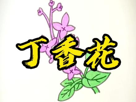 应粉丝要求,美丽的丁香花安排上#画画 #手绘 #简笔画 #创意美术 #一起学画画