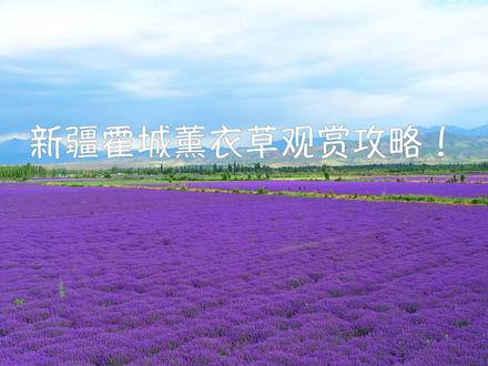 来新疆不去霍城看看薰衣草,那真的是太亏了,这里攻略为你准备好了,就等你出发啦!#新疆旅游攻略 #新疆旅行攻略 #新疆自驾游攻略 #旅行大玩家