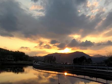 我觉得喂咯咯哒挺开心的#采情寻 #咯咯哒 #喂鸡主播