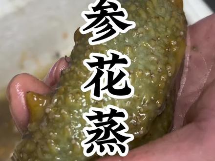 海参花你们知道吗?海参花蒸蛋不仅滑嫩细腻,营养丰富,做法还超简单,特别适合老人小孩跟孕妈妈#海参花 #海参 #抖音美食推荐官 #海鲜美食 #美食