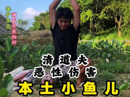 恶性入侵物种清道夫 #清道夫 #外来入侵物种 #保护渔业资源
今天开盲盒,开了一袋清道夫,太恐怖了!