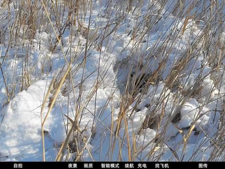 大疆FLIP无人机深度测评:在颜值盆地里培育出的性价比之花 大疆FLIP深度,不完美还丑,但性价比超值