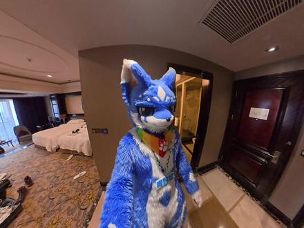 2026冬岛第一天看看青衿思在干什么!(平面版) 快来和青衿思一起,让大家身临其境感受兽聚!!!(建议在Wi-Fi下观看)#furry#furry兽人#兽装#兽装fursuit#兽设