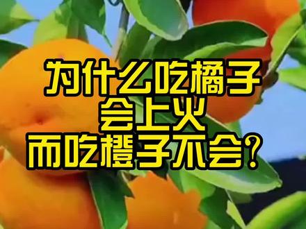 为什么吃橘子会上火而橙子不会?#吃橘子上火 #橘子的故事 #上火了怎么办