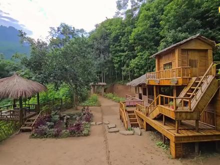 越南姑娘建造荒野家园全过程 #荒野搭建 #荒野建造 #荒野生存