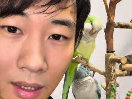 鹦鹉应该喝什么水#创作灵感#养鸟经验分享 #鹦鹉饲养知识 #手养鸟日常