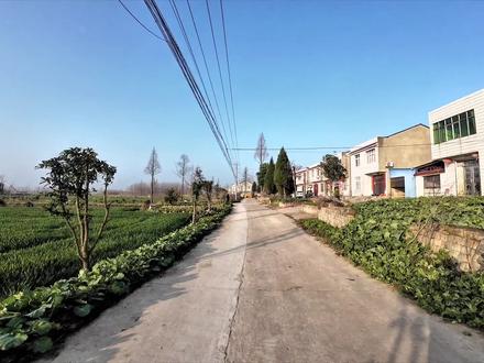 仙桃沔阳剅河新年耍龙灯,在刘小村看一场地道的耍龙灯。#乡村生活记录 #仙桃 #日常分享