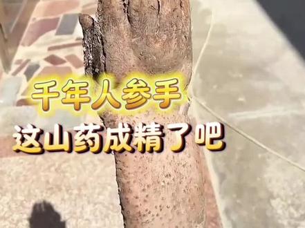 世界之大无奇不有啊! #万万没想到 #离谱 #害怕