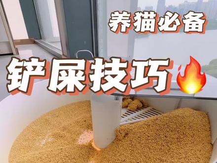 我的懒人铲屎秘诀 #斐瓦自动猫砂盆 #自动猫砂盆 #养猫人 #猫咪 #养猫好物