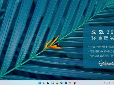 新电脑如何设置#戴尔 #g刻出击 #英特尔 #酷睿12代异构一战封神期 #游匣g1512代硬核