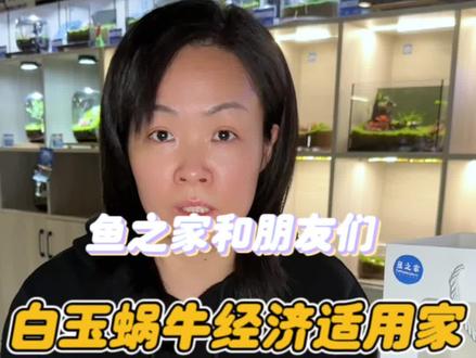 白玉蜗牛的经济适用家,99一整套还包活,体验一下吧#鱼缸里的大自然 #白玉蜗牛 #记录宠物的日常生活 #水族爱好者