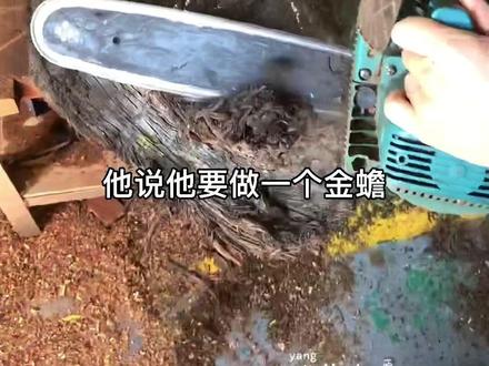 耕田时多留意,一不小心就捡个宝#手工茶盘 #阴沉木茶盘 #就毛师傅