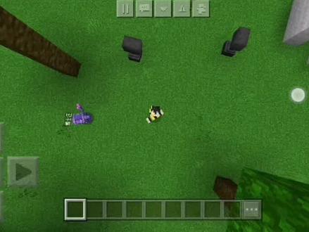 #我的世界minecraft #游戏日常 #mc不灭 清除掉落物指令