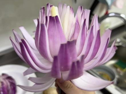 🧅洋葱花花语 :浓烈的爱