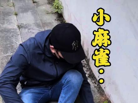 在路边把小麻雀画活了#绘画过程分享 #涂鸦 #墙绘 #治愈