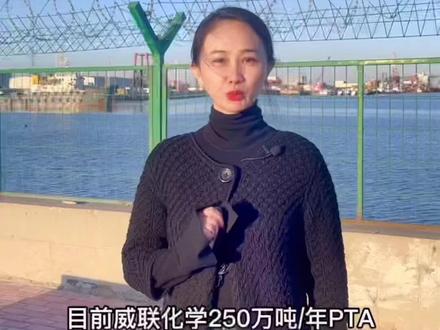 #黄河三角洲 #东营石化 #山东地炼 东营的炼化产业有多牛你知道吗