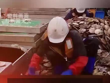 中国暂停进口日本水产品,多家日料店不用日本水产,A股水产股集体爆发国联水产20cm涨停#中国暂停日本水产品 #A股水产股集体爆发 #国联水产涨停