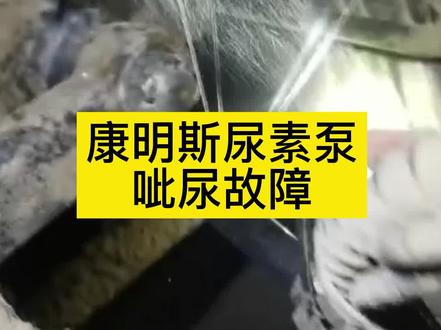 康明斯一扣就费尿素泵,报出回液阀故障,荆哥哥远程翻车了。 #共轨之家