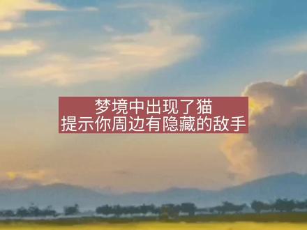 心理解梦127:梦境中出现了猫,你周边出现了潜在的感情风险…… #做梦 #梦境 #读书 #焦虑 #爱情 #文案 #幻想 #心理健康 #心理学