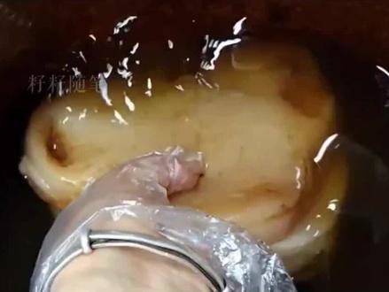 你小时候吃过醋蛾子吗,来学学养醋蛾子的教程吧#醋蛾子 #红茶菌