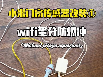 小米门窗传感器改的#一般人不告诉他 #海缸日记 #水族爱好者 #海缸