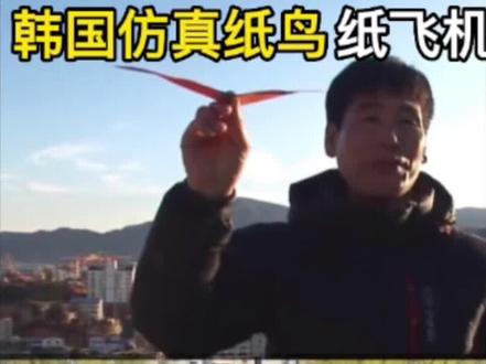 韩国纸鸟纸飞机,简单又好飞,快来试试吧#纸飞机 #折纸教程 #手工折纸 #童年的纸飞机 @DOU+小助手