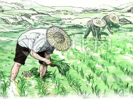 《乡土中国》总论及各章概述