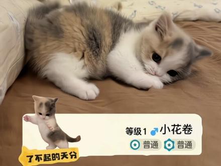 我抓到了稀有的精灵 了不起的天分p图教程来了#醒图焚决的神 #洛克王国 #喵喵 洛克王国世界 哈基米洛克王国 了不起的天分贴纸 洛克王国了不起p图素材 洛克王国捕捉精灵素材p图 洛克王国了不起的天分 洛克王国p图#质感美学 #人类对醒图的开发不足百分之一