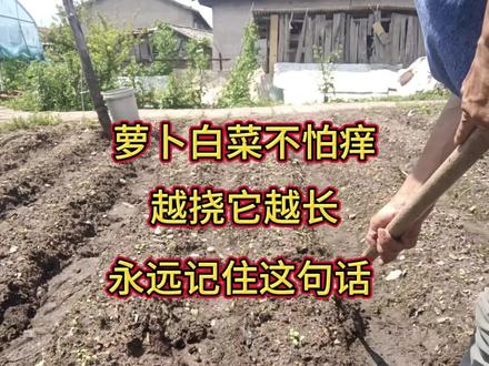 萝卜白菜不怕痒,越挠它越长,永远记住这句话 #上热门