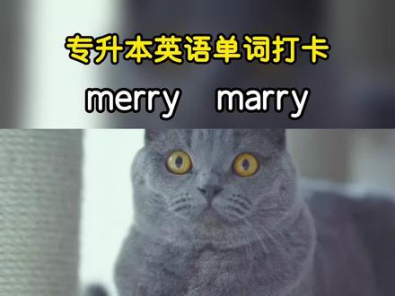 你可能不认识merry,但和节日联系在一起,意思就显而易见了。这两个单词,必须分清!#专升本 #背单词 #英语 #每日学习打卡 #上岸吧