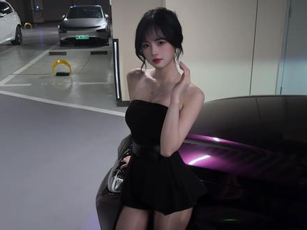 如何请这妙笔 入我梦中来