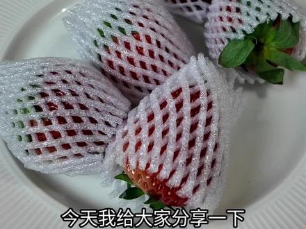 草莓如何保存的更久#一般人不告诉他 #草莓 #草莓保存方法 #水果 #应季水果