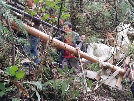 石工号子又称岩工号子、送石号子,是中国民歌体裁劳动号子的一种。流传于恩施民间抬石现场。#现场实拍 #劳动者是最美的人 #恩施 #撸起袖子干