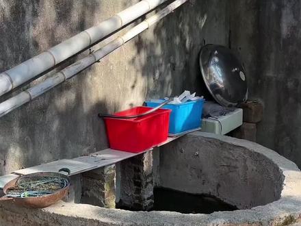 #养殖 #养鱼日记 好久没看的大鱼池,今天来看看里面都还有什么.