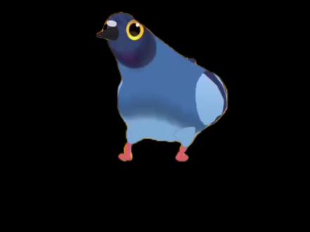 疯狂的鸽子3D全息投影素材 #3d全息投影素材 #疯狂的鸽子