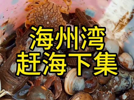 下集很有料哦 视频有点长。。但是可以看到很真实的赶海场景#赶海 #户外赶海抓海鲜 #皮皮虾#海州湾