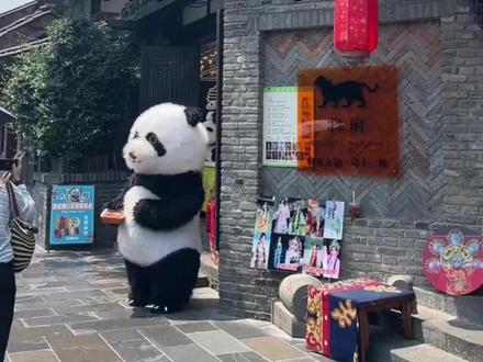 成都本地人告诉你好玩的景点有哪些 来成都不会还傻傻的去春熙路,宽窄巷子吧
成都除了这些地方还有很多好玩的景点
跟着这条视频走,带你玩遍天府之国 #四川旅游攻略 #旅行推荐官 #成都周边游 #峨眉山金顶 #成都旅游