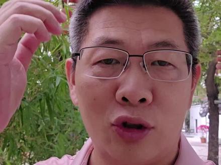 所有打着营养补剂旗号在卖的凝胶糖果类产品,都是智商税,不管它是鱼油,DHA藻油,还是什么其他玩意……都是垃圾。#母婴 #鱼油凝胶糖果 #DHA凝胶糖果 #智商税 #真实生活分享计划